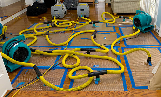 Professional Burst Pipe Water Damage technician working in Buckley, MI