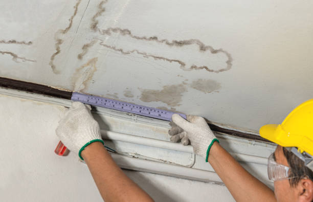 Affordable Burst Pipe Water Damage solutions in Buckley, MI